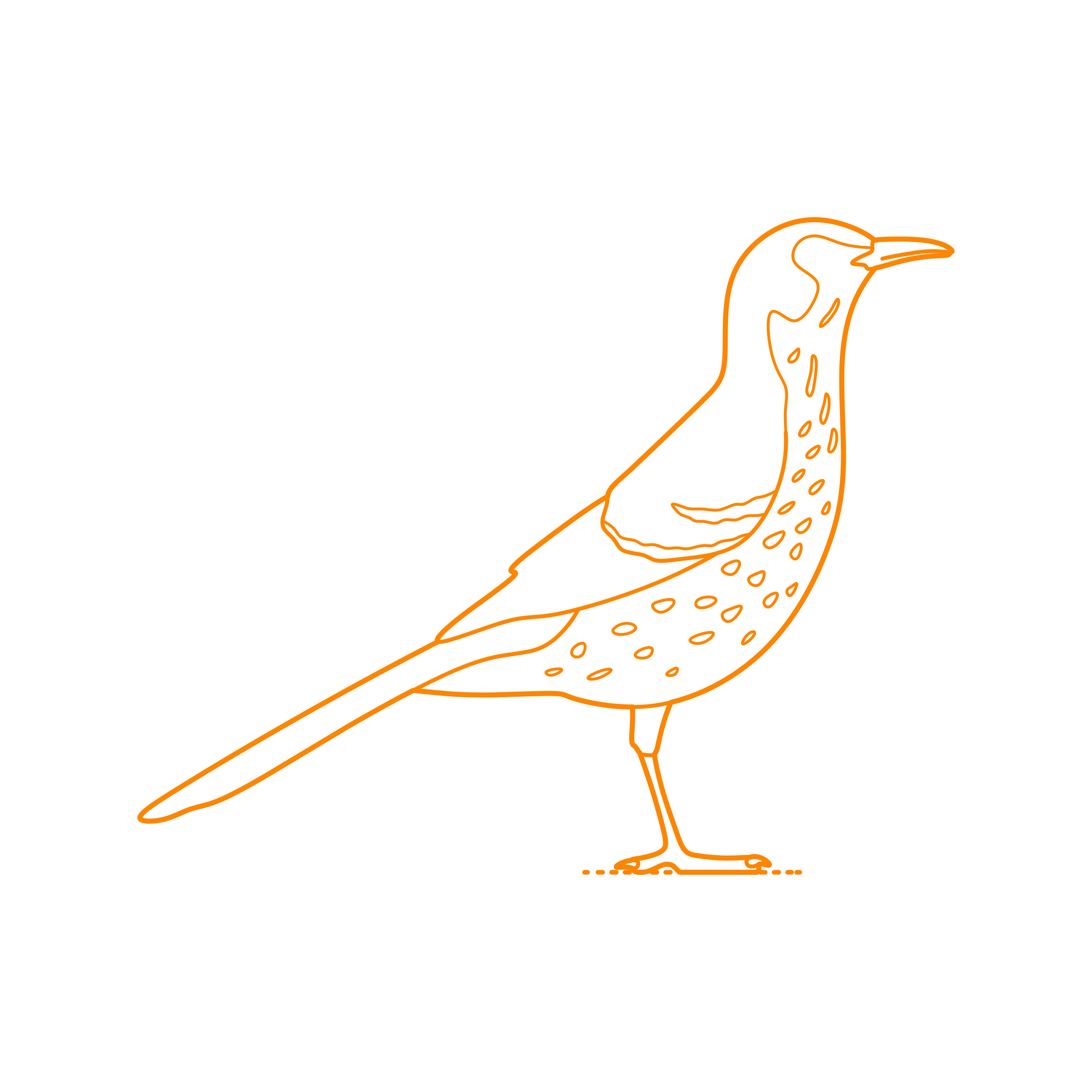 Animals Songbirds Brown Thrasher Editable Svg Line Art Free Vectors
